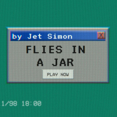 Flies in a Jar by Jet Simon